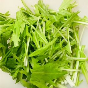 よく洗って生でも食べれる水菜サラダ～保存方法